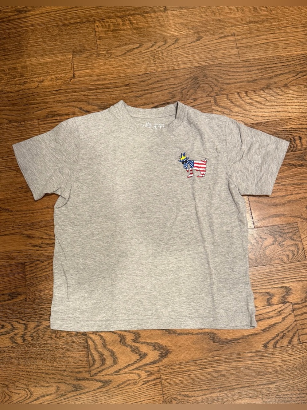 Kids' GOAT USA Gray Short-Sleeve Tee with American Flag size medium